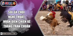 Soi gà chọi